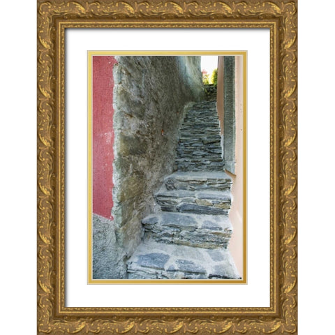 Italy A narrow walkway in Manarola, Cinque Terre Gold Ornate Wood Framed Art Print with Double Matting by Flaherty, Dennis
