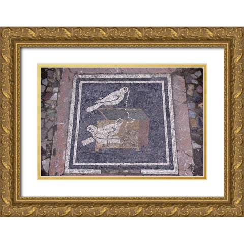 Italy, Pompeii Bird mosaic in House of the Faun Gold Ornate Wood Framed Art Print with Double Matting by Kaveney, Wendy