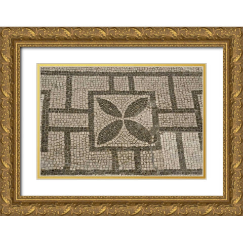 Italy, Campania, Pompeii Mosaic floor patterns Gold Ornate Wood Framed Art Print with Double Matting by Kaveney, Wendy