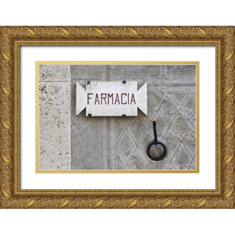Italy, Tuscany, Pienza Pharmacy sign on wall Gold Ornate Wood Framed Art Print with Double Matting by Flaherty, Dennis