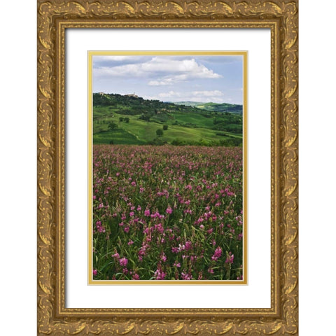 Italy, Pienza Medieval town seen on hilltop Gold Ornate Wood Framed Art Print with Double Matting by Flaherty, Dennis