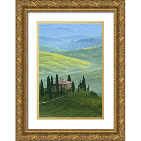 Italy, Tuscany Beautiful green countryside Gold Ornate Wood Framed Art Print with Double Matting by Flaherty, Dennis