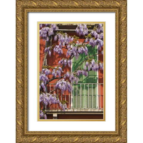 Italy, Varenna Flowers grow over front of house Gold Ornate Wood Framed Art Print with Double Matting by Flaherty, Dennis