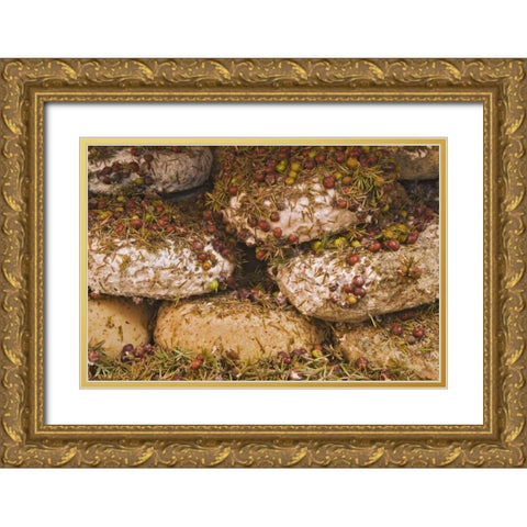 Italy, Tuscany, Pienza Cheese being seasoned Gold Ornate Wood Framed Art Print with Double Matting by Flaherty, Dennis