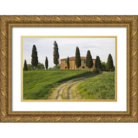 Italy, Tuscany, Pienza View of countryside villa Gold Ornate Wood Framed Art Print with Double Matting by Flaherty, Dennis