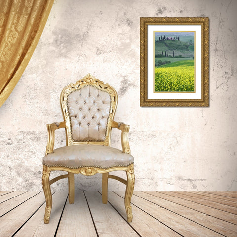 Italy, Tuscany Villa on a countryside hill Gold Ornate Wood Framed Art Print with Double Matting by Flaherty, Dennis