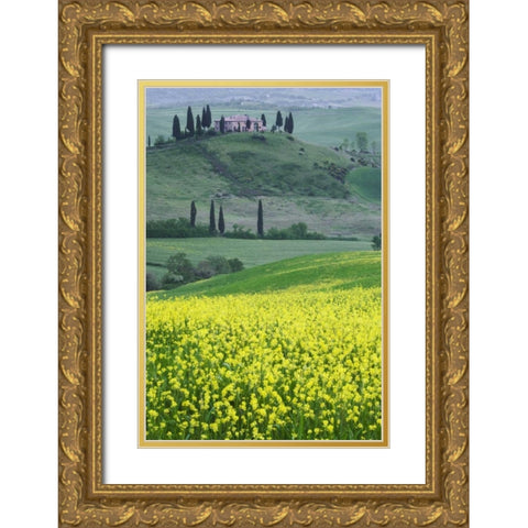 Italy, Tuscany Villa on a countryside hill Gold Ornate Wood Framed Art Print with Double Matting by Flaherty, Dennis