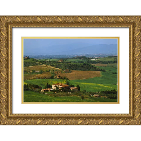 Italy, Tuscany Val dOrcia countryside Gold Ornate Wood Framed Art Print with Double Matting by Flaherty, Dennis