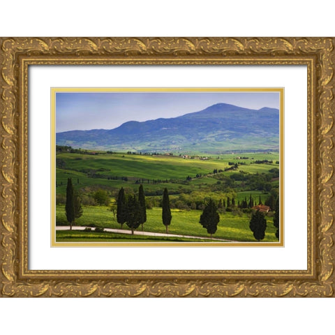 Italy, Tuscany Scenic of the Tuscan countryside Gold Ornate Wood Framed Art Print with Double Matting by Flaherty, Dennis