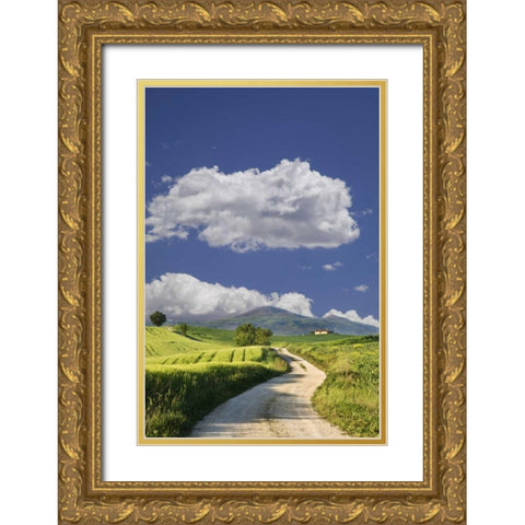 Italy, Tuscany Road leading to a villa Gold Ornate Wood Framed Art Print with Double Matting by Flaherty, Dennis