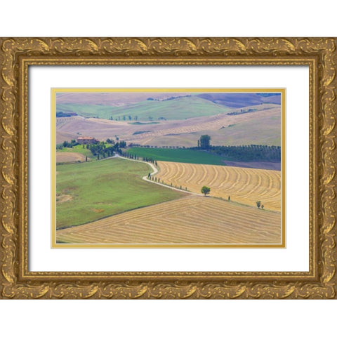 Italy, Tuscany, Pienza Tuscan landscape Gold Ornate Wood Framed Art Print with Double Matting by Delisle, Gilles