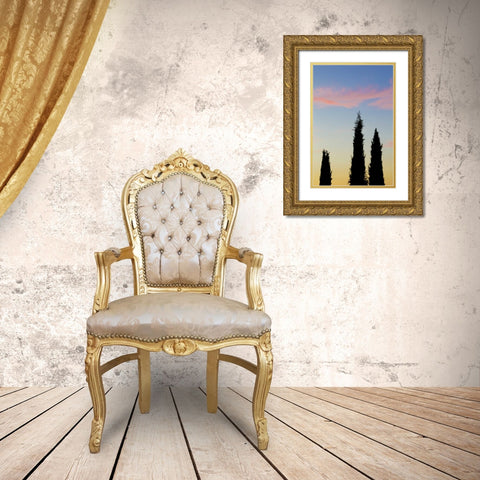 Italy, Orvieto Cypress trees and cloud at sunset Gold Ornate Wood Framed Art Print with Double Matting by Delisle, Gilles