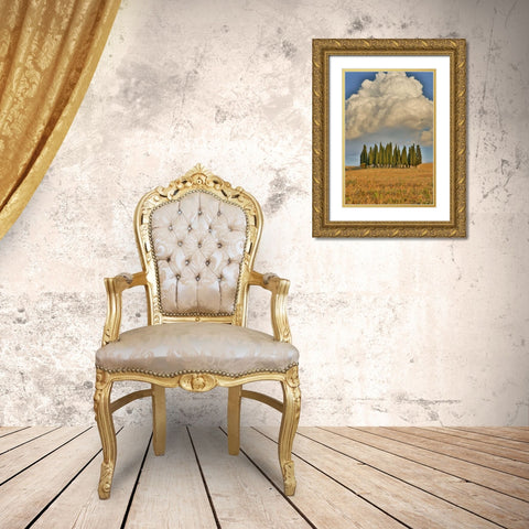 Italy, Tuscany Cypress grove and cloud formation Gold Ornate Wood Framed Art Print with Double Matting by Delisle, Gilles