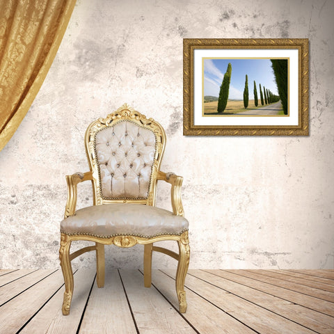 Italy, Tuscany Road and cypress trees Gold Ornate Wood Framed Art Print with Double Matting by Delisle, Gilles