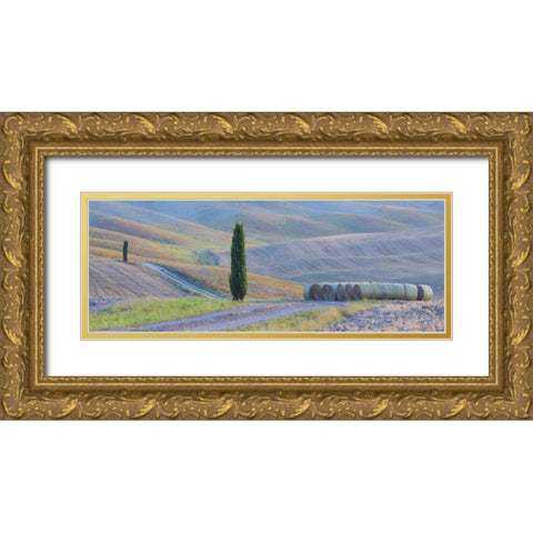 Italy, Tuscany Hay bales and farmland Gold Ornate Wood Framed Art Print with Double Matting by Delisle, Gilles