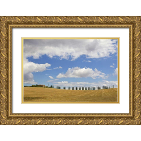 Italy, Tuscany Cypress tree alley and farm house Gold Ornate Wood Framed Art Print with Double Matting by Delisle, Gilles