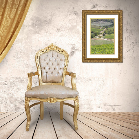 Italy, Radda Winery vineyards and olive groves Gold Ornate Wood Framed Art Print with Double Matting by Delisle, Gilles