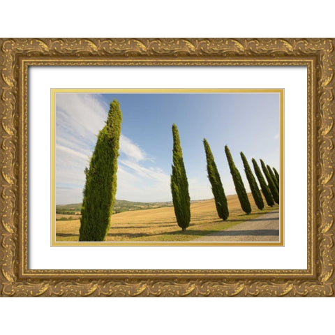 Italy, Tuscany Road and cypress trees Gold Ornate Wood Framed Art Print with Double Matting by Delisle, Gilles
