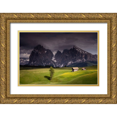 Europe-Italy-South Tirol-Alpine meadows with the Sasso Lungo and Sasso Piatto Mountains Gold Ornate Wood Framed Art Print with Double Matting by Jaynes Gallery