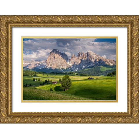 Europe-Italy-South Tirol-Alpine meadows with the Sasso Lungo and Sasso Piatto Mountains Gold Ornate Wood Framed Art Print with Double Matting by Jaynes Gallery