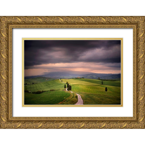 Europe-Italy-Tuscany-Val dOrcia-Road through farming landscape Gold Ornate Wood Framed Art Print with Double Matting by Jaynes Gallery