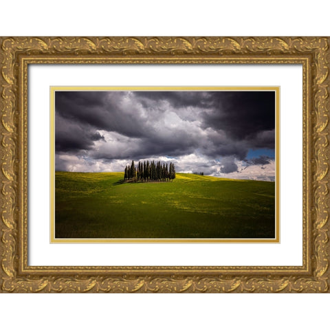 Europe-Italy-Tuscany-Val d Orcia-Cypress grove and farmland Gold Ornate Wood Framed Art Print with Double Matting by Jaynes Gallery