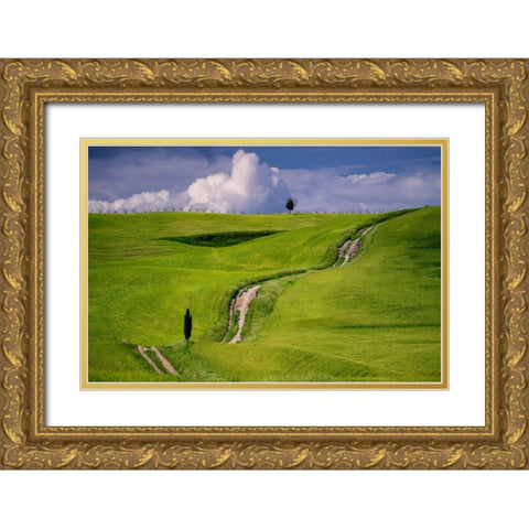 Europe-Italy-Tuscany-Val d Orcia-Cypress tree and winding road in farmland hills Gold Ornate Wood Framed Art Print with Double Matting by Jaynes Gallery