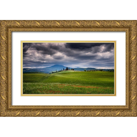 Europe-Italy-Tuscany-Val d Orcia-Farmland under stormy sky Gold Ornate Wood Framed Art Print with Double Matting by Jaynes Gallery