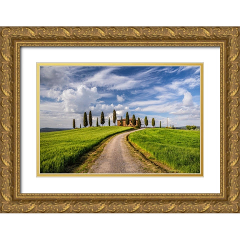 Europe-Italy-Tuscany-Val d Orcia-Road to Il Cipressini farmhouse Gold Ornate Wood Framed Art Print with Double Matting by Jaynes Gallery