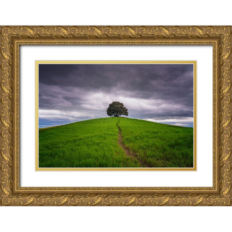 Europe-Italy-Tuscany-Val d Orcia-Trail to lone tree in farmland Gold Ornate Wood Framed Art Print with Double Matting by Jaynes Gallery