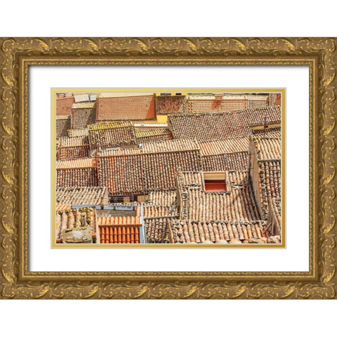 Palermo Province-Gangi View over the rooftops in the town of Gangi in the mountains of Sicily Gold Ornate Wood Framed Art Print with Double Matting by Wilson, Emily