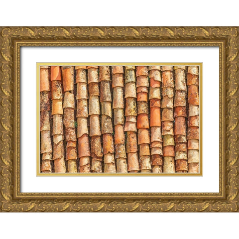 Palermo Province-Gangi Terracotta roof tiles in the town of Gangi in the mountains of Sicily Gold Ornate Wood Framed Art Print with Double Matting by Wilson, Emily