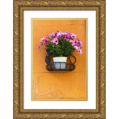 Trapani Province-Erice A pot of African Daisy flowers on wall in the ancient hill town of Erice Gold Ornate Wood Framed Art Print with Double Matting by Wilson, Emily