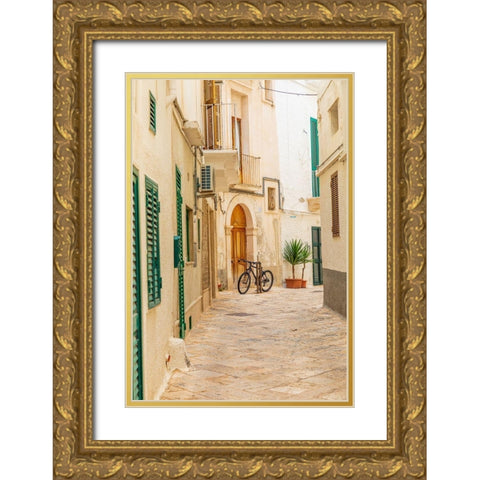 Italy-Apulia-Metropolitan City of Bari-Monopoli Narrow street between buildings-with a bicycle Gold Ornate Wood Framed Art Print with Double Matting by Wilson, Emily