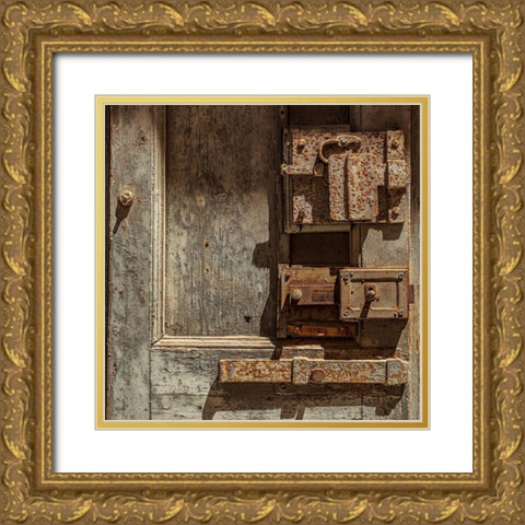 Italy-Apulia-Metropolitan City of Bari-Giovinazzo Old wooden door with massive rusted metal locks Gold Ornate Wood Framed Art Print with Double Matting by Wilson, Emily