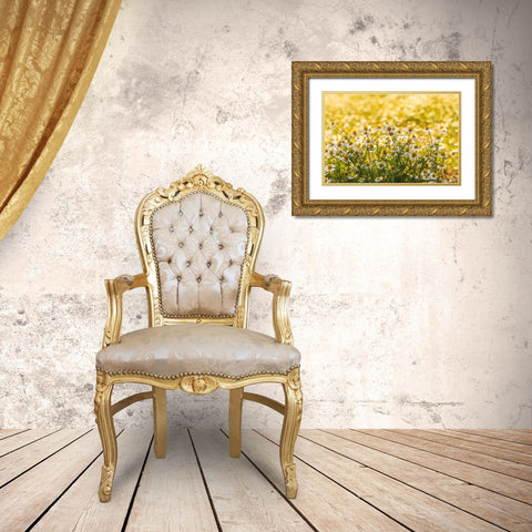 Field of chamomile Gold Ornate Wood Framed Art Print with Double Matting by Wilson, Emily