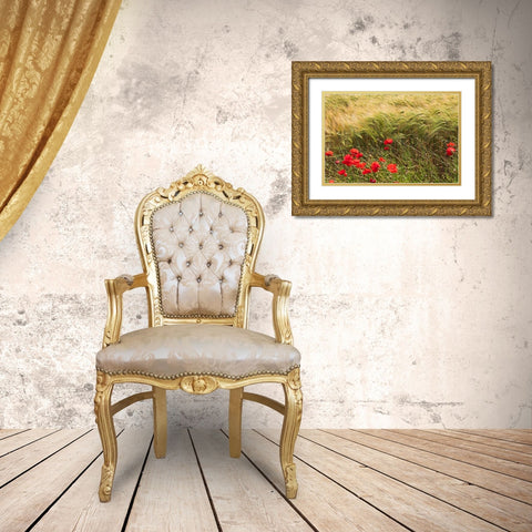 Italy-Apulia-Province of Taranto-Laterza Field of barley with poppies Gold Ornate Wood Framed Art Print with Double Matting by Wilson, Emily
