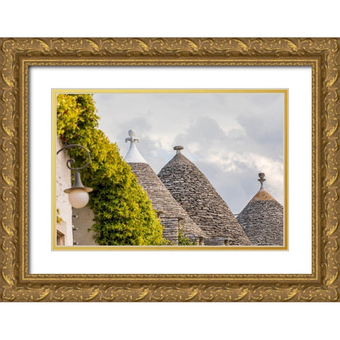Italy-Apulia-Metropolitan City of Bari-Alberobello Trulli houses Gold Ornate Wood Framed Art Print with Double Matting by Wilson, Emily