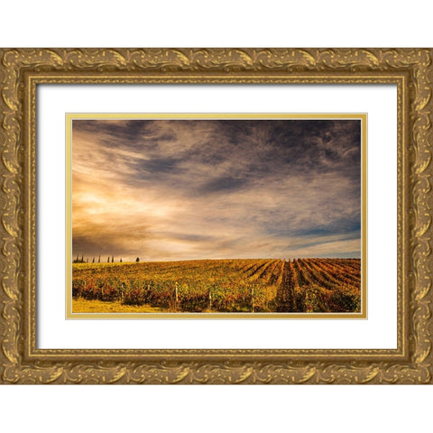 Italy-vineyard Gold Ornate Wood Framed Art Print with Double Matting by Theodore, George and Marilu