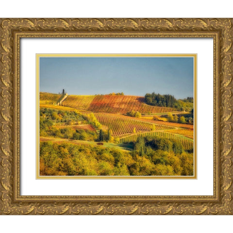 Italy-Chianti Vineyard in autumn in the Chianti region of Tuscany Gold Ornate Wood Framed Art Print with Double Matting by Eggers, Julie