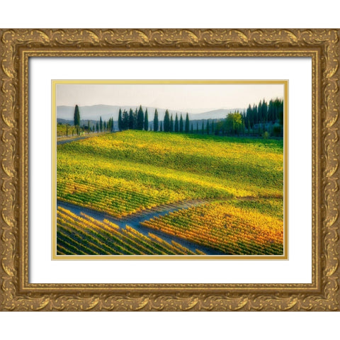 Italy-Chianti Vineyard in autumn in the Chianti region of Tuscany Gold Ornate Wood Framed Art Print with Double Matting by Eggers, Julie