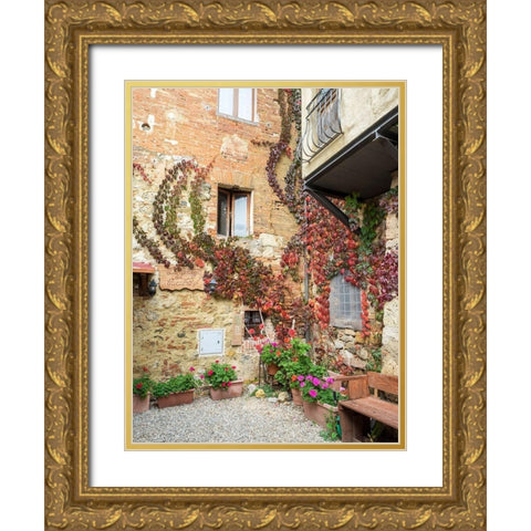 Italy-Chianti Back street alleyway with fall colored climbing vine Gold Ornate Wood Framed Art Print with Double Matting by Eggers, Julie
