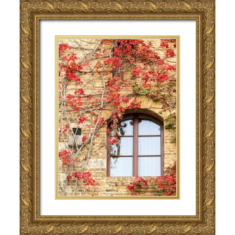 Italy-Chianti Red climbing ivy vine on a stone wall Gold Ornate Wood Framed Art Print with Double Matting by Eggers, Julie