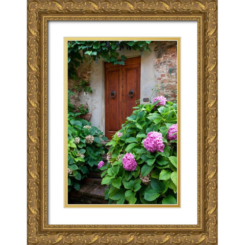 Italy-Tuscany-Pienza Hydrangeas at the entrance of a home in the streets of Pienza Gold Ornate Wood Framed Art Print with Double Matting by Eggers, Julie