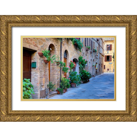 Italy-Tuscany-Pienza Flower pots and potted plants decorate a narrow street in a Tuscany village Gold Ornate Wood Framed Art Print with Double Matting by Eggers, Julie