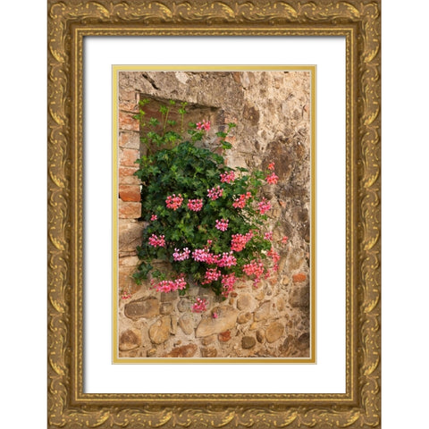 Italy-Tuscany Pink ivy geraniums blooming in a window in Tuscany Gold Ornate Wood Framed Art Print with Double Matting by Eggers, Julie