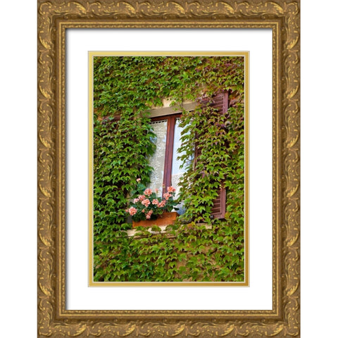 Italy-Tuscany-Montepulciano Window surrounded by ivy with pot of geraniums in hill town Gold Ornate Wood Framed Art Print with Double Matting by Eggers, Julie