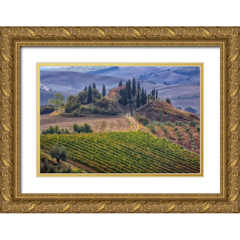 Italy-Tuscany Belvedere House-Olive trees-and vineyards near San Quirico dOrcia Gold Ornate Wood Framed Art Print with Double Matting by Eggers, Julie
