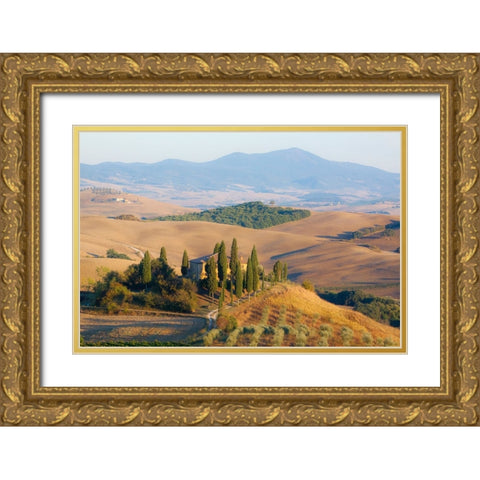 Italy-Tuscany Belvedere House-Olive trees-and vineyards near San Quirico dOrcia Gold Ornate Wood Framed Art Print with Double Matting by Eggers, Julie