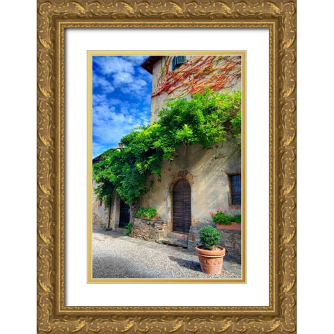 Italy-Tuscany Courtyard of an agriturismo near the hill town of Montalcino Gold Ornate Wood Framed Art Print with Double Matting by Eggers, Julie